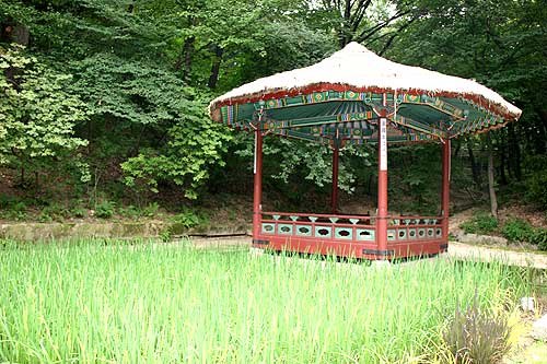 Changdeokgung Palace  Biwon Garden Secret Garden Seoul South Korea