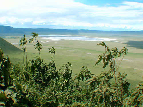 Ngorongoro Crater  large volcanic caldera Tanzania Africa