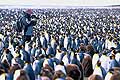 Tourist on a beach on Kerguelen Island (Territory of the French Southern and Antarctic Lands) with an estimated 200,000 King penguins