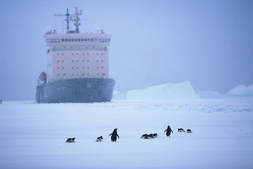 Russian Icebreaker Kapitan Khlebnikov Davis station East Antarctica