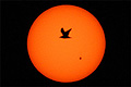 A bird flying in front of the Sun with sunspot AR2529 over Hoboken, New Jersey 