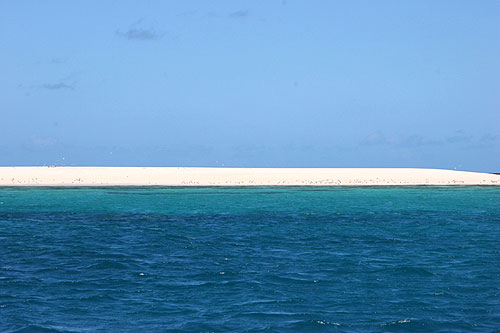 Great Barrier Reef off of Cape Tribulation in Australia Queensland