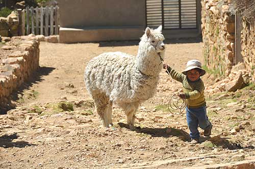 small bolivian boy with lama Bolivia worldtimezone travel