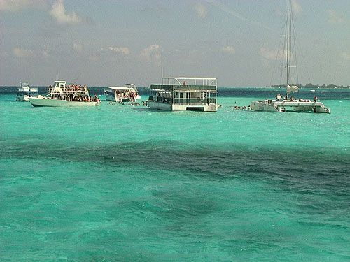 The Stingray City Sandbar in Grand Cayman, Cayman Islands