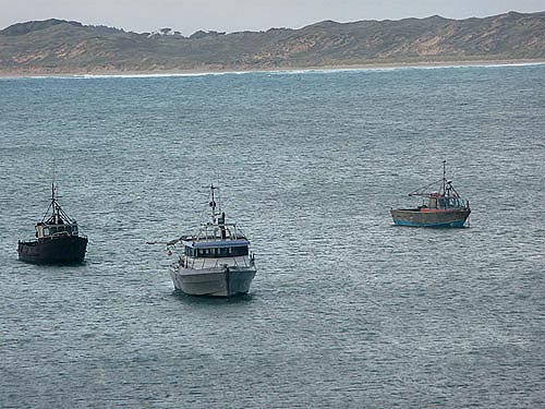 Chatham Islands Rekohu Wharekauri 800 kilometers east of southern New Zealand