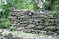 Lelu Ruins Kosrae Micronesia