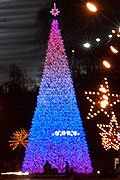 New Year Yuzhno-Sakhalinsk