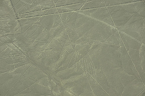 Nazca lines condor or long-tailed mockingbird ancient geoglyphs Nazca desert Peru UNESCO World Heritage Site Peru worldtimezone travel
