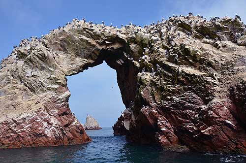 Ballestas Islands marine wildlife sanctuary Islas Ballestas Peru worldtimezone travel