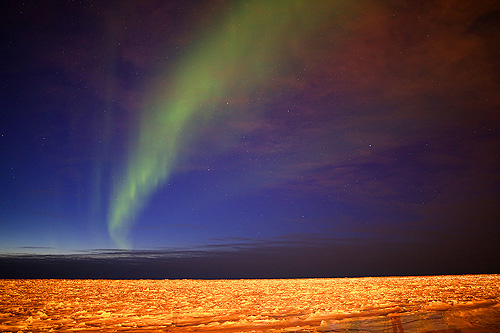 Aurora borealis in Barrow Utqiagvik Alaska northernmost community in the U.S.