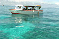 Tuamotus Tuamotu Archipelago Iles Tuamotu French Polynesia