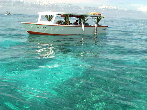 Tuamotus Tuamotu Archipelago Iles Tuamotu French Polynesia