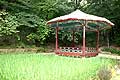 Changdeokgung Palace Biwon Garden Secret Garden Seoul South Korea